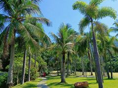 -深圳湾公园(南山区)