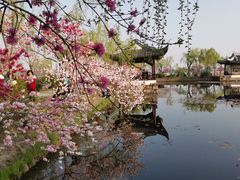 -无锡蠡湖国家湿地公园-蠡园