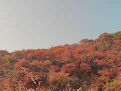 -北京西山国家森林公园