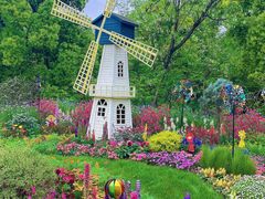 -上海共青森林公园