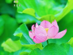 -沐仙湖湿地公园