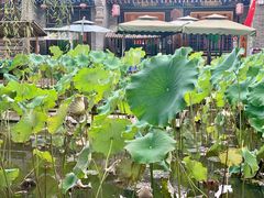 -渭南桃花源民俗文化园