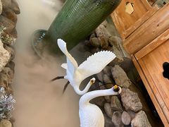 -朴大人炭烤·韩国料理(奥帆中心海尔洲际店)