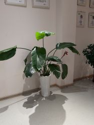 -Dr.林醫生产后修复·配方产康店(南京大厂店)