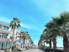-湄洲岛