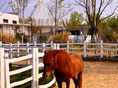 -祥源·阜阳生态乐园