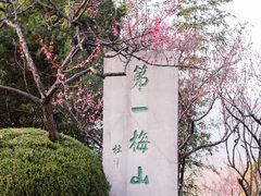 -梅花山(明孝陵内)