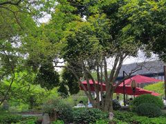 -杭州西子湖四季酒店-WL BISTRO西湖餐厅(灵隐路店)