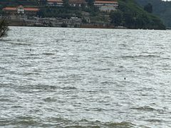 -捞渔河湿地公园