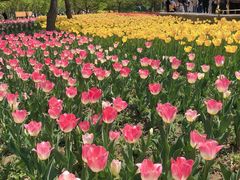 -长春公园(普阳街道)