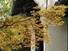 -常熟方塔园