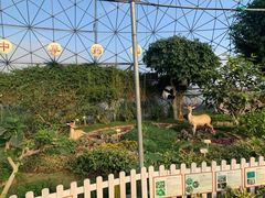 -盈香心动乐园