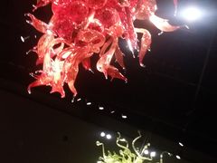 -奇胡利玻璃艺术园