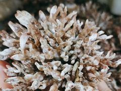 -畲乡一品鱼府土菜馆