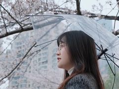 -西北湖绿化广场