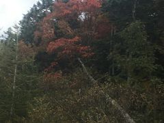 -富士山吉田線五合目