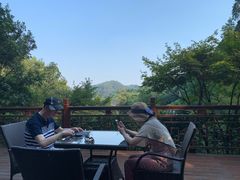 -十八棵（老龙井）御茶园(老龙井店)