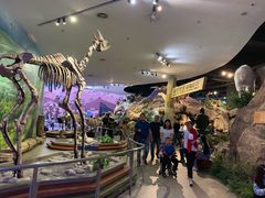 -陕西自然博物馆