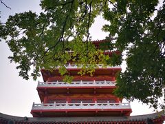 -思念果岭悦温泉