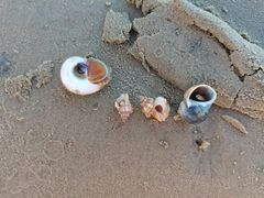 -黄海明珠