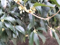 -方山风景区定林寺