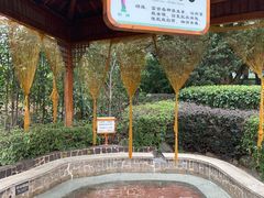 -庐山天沐温泉度假村