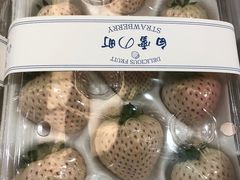 -西郊国际农产品交易中心