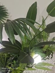 -HEYAN荷妍专业脱毛连锁机构