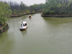 -塘沽森林公园