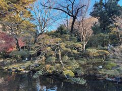 -ステーキハウス吉池