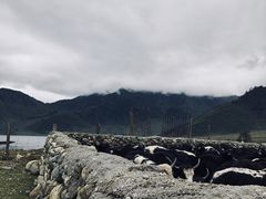 -石棉县孟获城