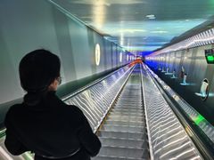 -白鹤梁水下博物馆