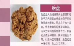 -涌泉妈咪树通乳·产后恢复