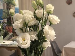 -伊斯坦布尔土耳其清真咖啡餐厅