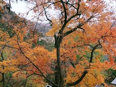 -北京上方山国家森林公园