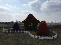 -南通鲜花小镇