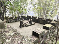 -铁山坪森林公园