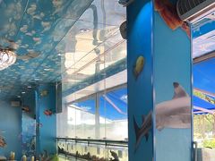 -小海豚•老字号海鲜餐厅(天涯店)