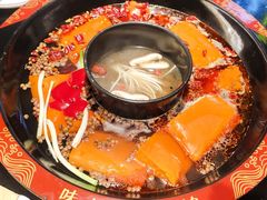 -三江两海老火锅(北京首店)