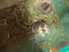-藦茜花园宠物主题亲子互动体验馆(国顺东路店)