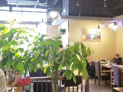 大堂-烹然四季椰子鸡火锅(团结湖总店)