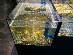 -湖州东吴开元名都酒店-滨河自助餐厅