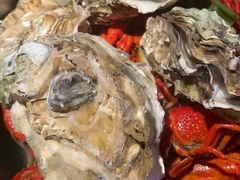 -蚝翅·海鲜粥·烧烤·宁夏滩羊季(玉米楼店)