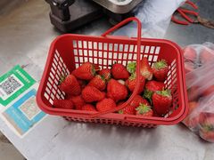 -大自然农场蔬菜草莓采摘园