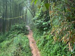 -莫干山风景区