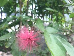 -南通洲际绿博园