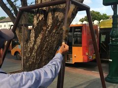 -皇家田广场(อนุสาวรีย์ทหารอาสา)