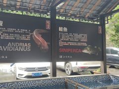 -江龙饭店·乌江豆腐鱼(乌江老桥头店)
