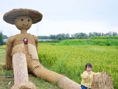 -乌村