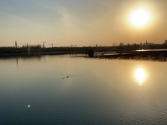 -大兴滨河森林公园